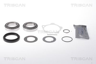 TRISCAN 8530 17005