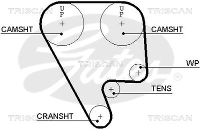 TRISCAN 8645 5349xs