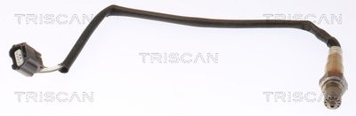 TRISCAN 8845 25059