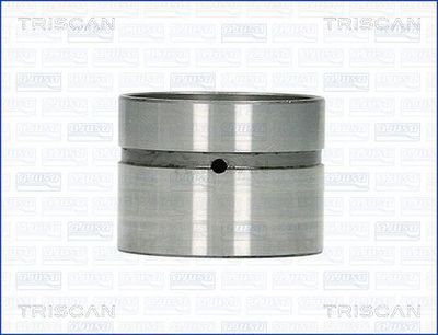 TRISCAN 80-14002