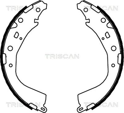 TRISCAN 8100 13053