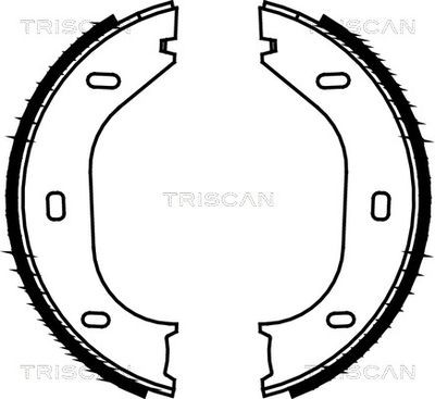 TRISCAN 8100 10290