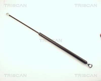 TRISCAN 8710 1601