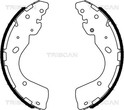 TRISCAN 8100 14012