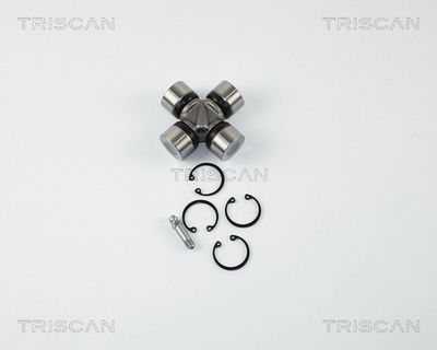 TRISCAN 8540 050