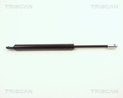 TRISCAN 8710 2001