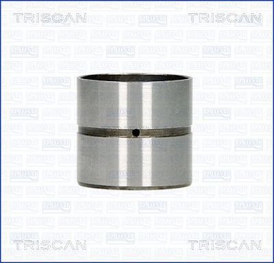 TRISCAN 80-25005