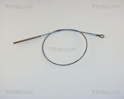 TRISCAN 8140 29102