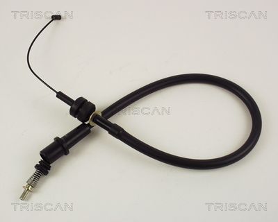 TRISCAN 8140 24323 TRISCAN 8140 24323