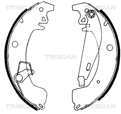 TRISCAN 8100 10031