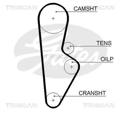 TRISCAN 8645 5082xs