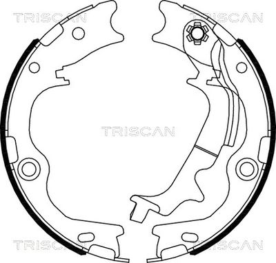 TRISCAN 8100 43029