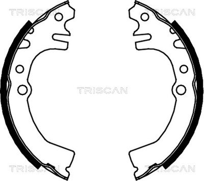 TRISCAN 8100 41613