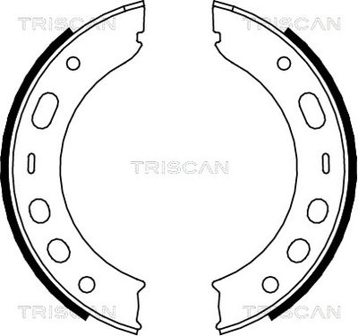 TRISCAN 8100 20002