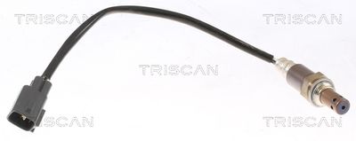 TRISCAN 8845 13069