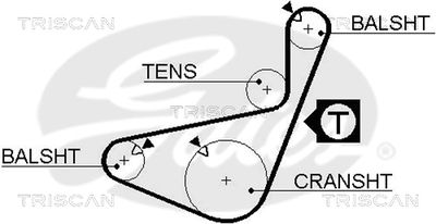 TRISCAN 8645 5436xs