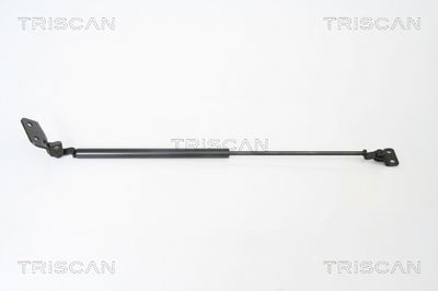 TRISCAN 8710 18221