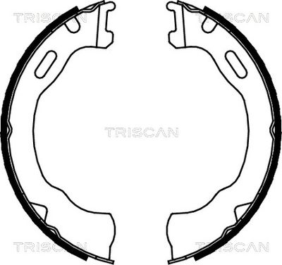 TRISCAN 8100 80007