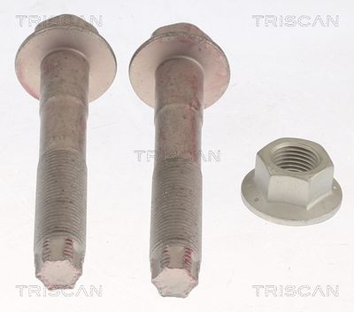 TRISCAN 8500 13401