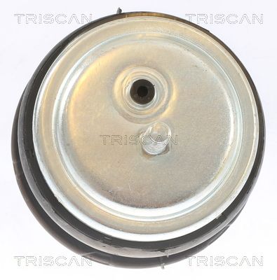 TRISCAN 8505 11113