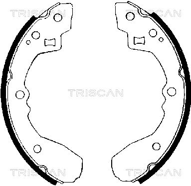 TRISCAN 8100 50406