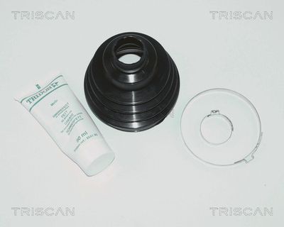 TRISCAN 8540 10811