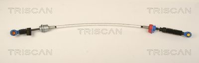 TRISCAN 8140 16705