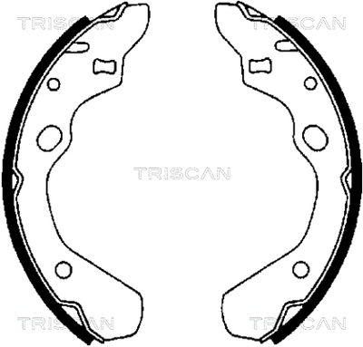 TRISCAN 8100 50500