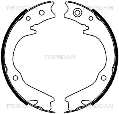 TRISCAN 8100 68003