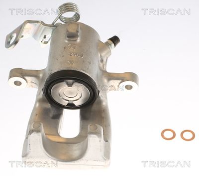 TRISCAN 8175 24205 TRISCAN 8175 24205
