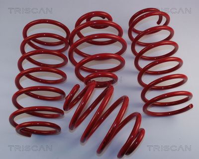 TRISCAN 8755 24006