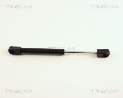 TRISCAN 8710 16211