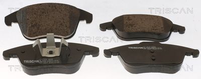 TRISCAN 8110 16038