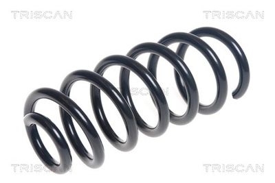 TRISCAN 8750 25136 TRISCAN 8750 25136