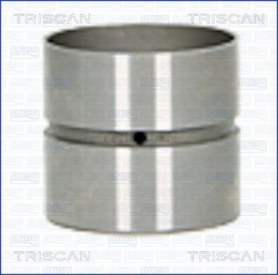 TRISCAN 80-25007