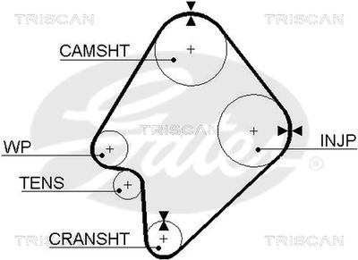 TRISCAN 8645 5300xs