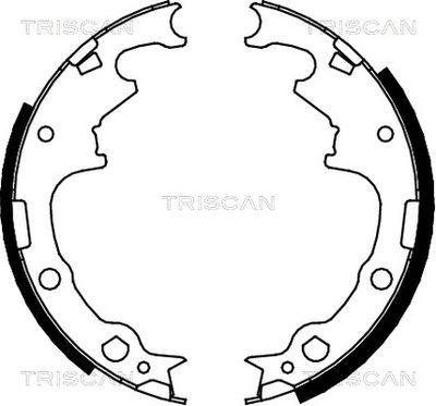 TRISCAN 8100 10001