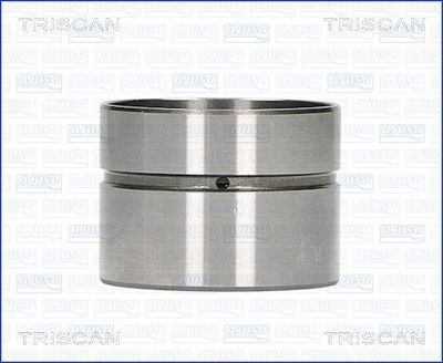 TRISCAN 80-27001