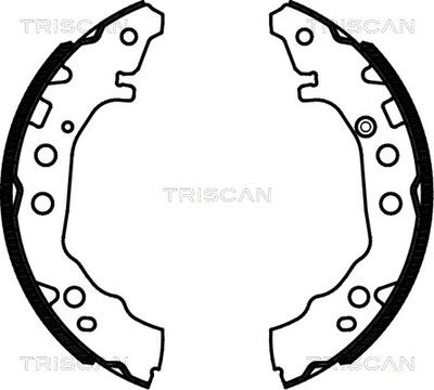 TRISCAN 8100 13052