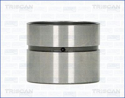 TRISCAN 80-43000