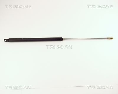 TRISCAN 8710 2904