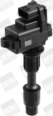 BorgWarner (BERU) ZSE074