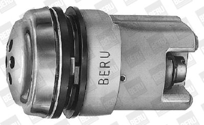 BorgWarner (BERU) KOBS BorgWarner (BERU) KOBS