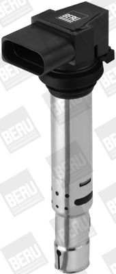 BorgWarner (BERU) ZSE138