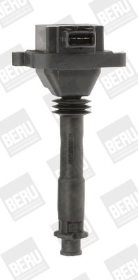 BorgWarner (BERU) ZS310