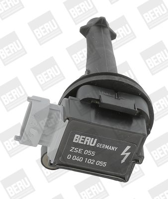 BorgWarner (BERU) ZSE055