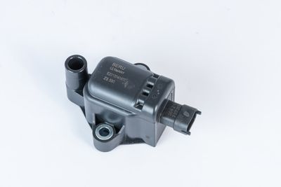 BorgWarner (BERU) ZS590