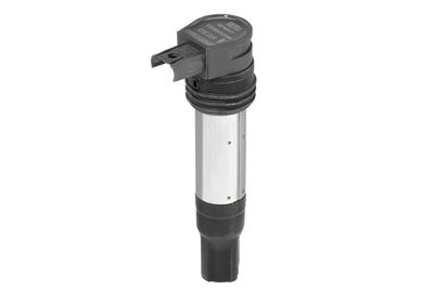 BorgWarner (BERU) ZSE229