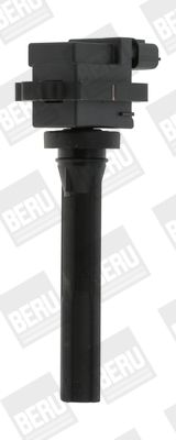 BorgWarner (BERU) ZSE072