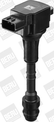 BorgWarner (BERU) ZSE134